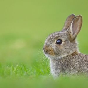 French Chic, Elegant, Preppy Clothes & More ✨